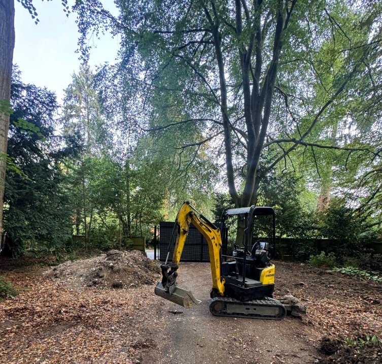 Digger on woodland site